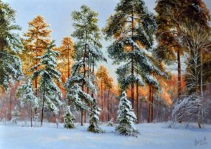 В тёплом свете января