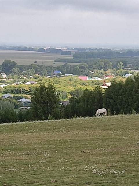 18 Алтай