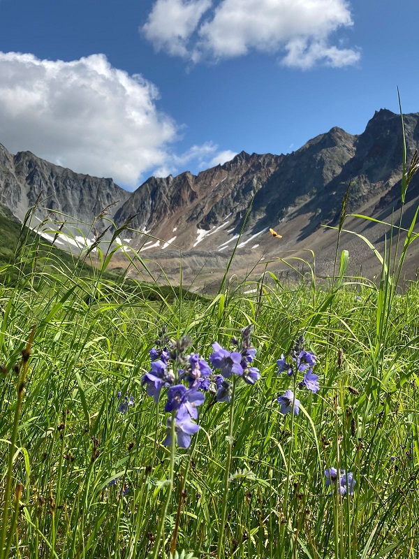 6 Камчатка
