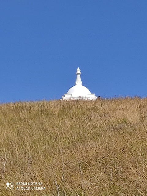 IMG-20231119-WA0019