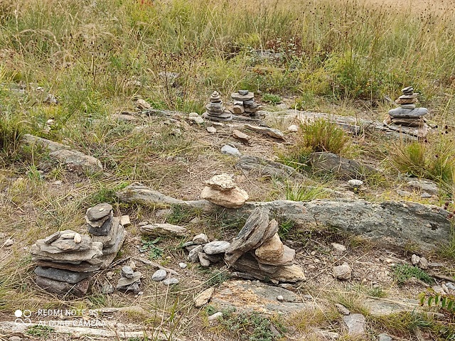IMG-20231119-WA0020
