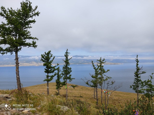 IMG-20231119-WA0021