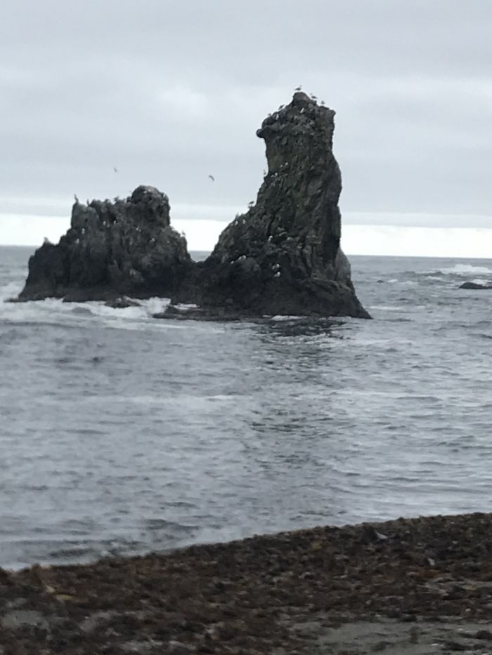 IMG-20240826-WA0010